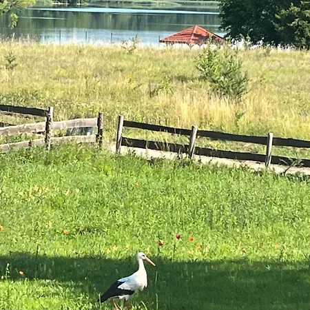Mazury 